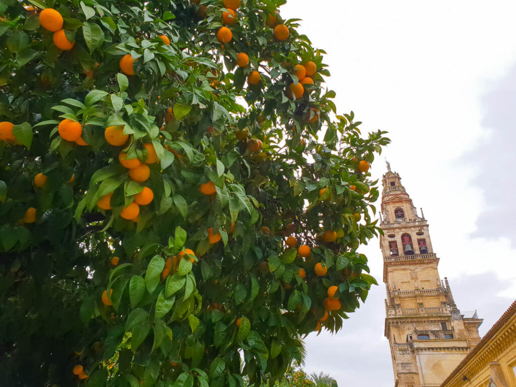 Cordoba travel
