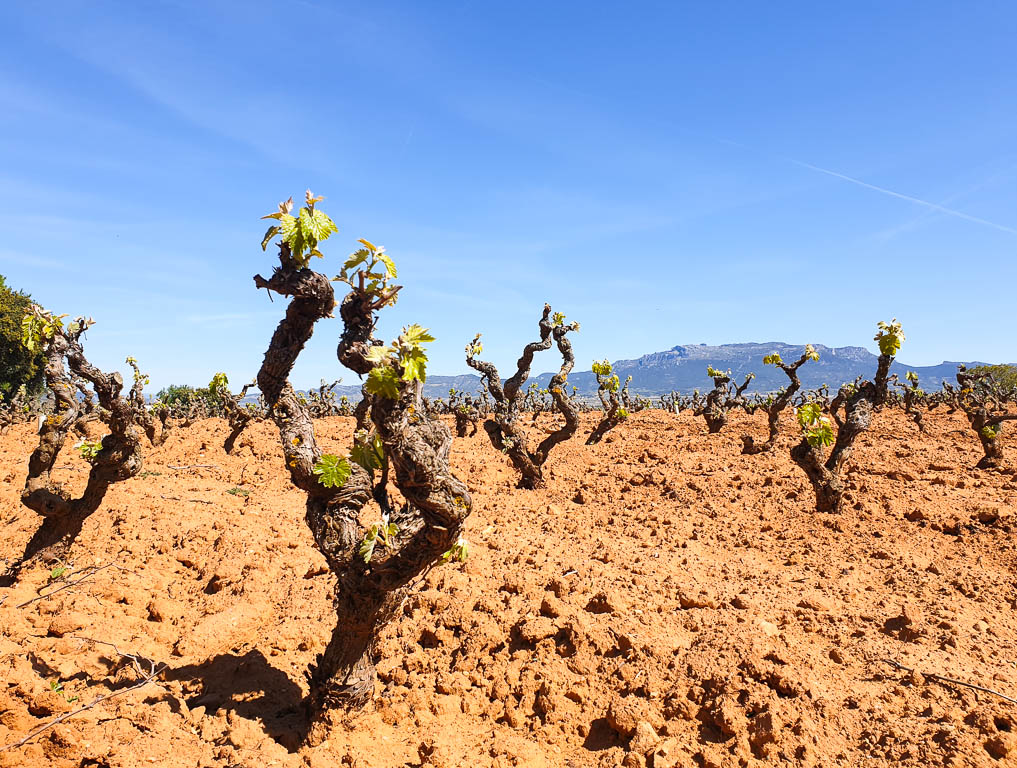 Avoid the heat when traveling in Spain