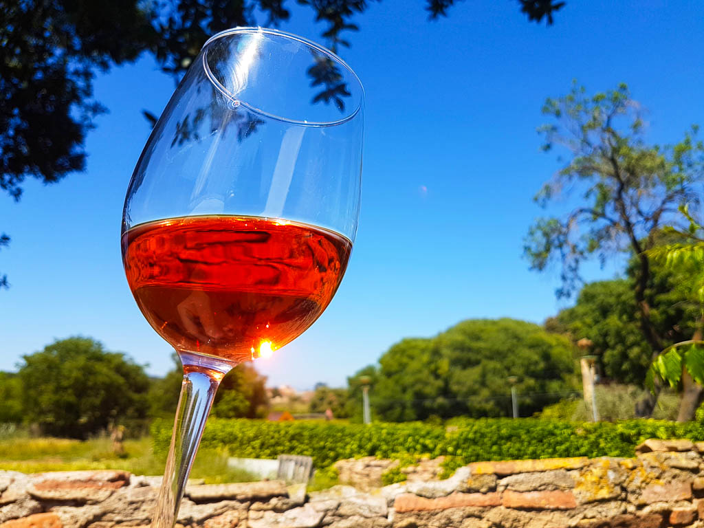 Drinking wine in Girona